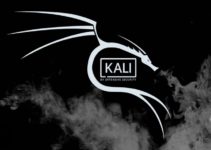 Quels sont les avantages de Kali Linux